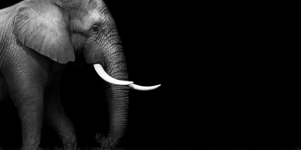 Create a Function in PostgreSQL that Returns Queryset