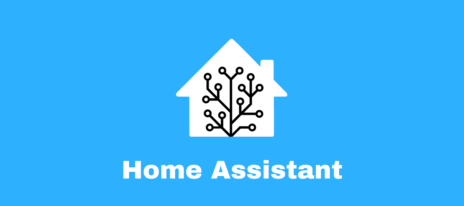 Home Assistant How To