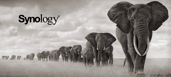 Setup PostgreSQL on Synology NAS