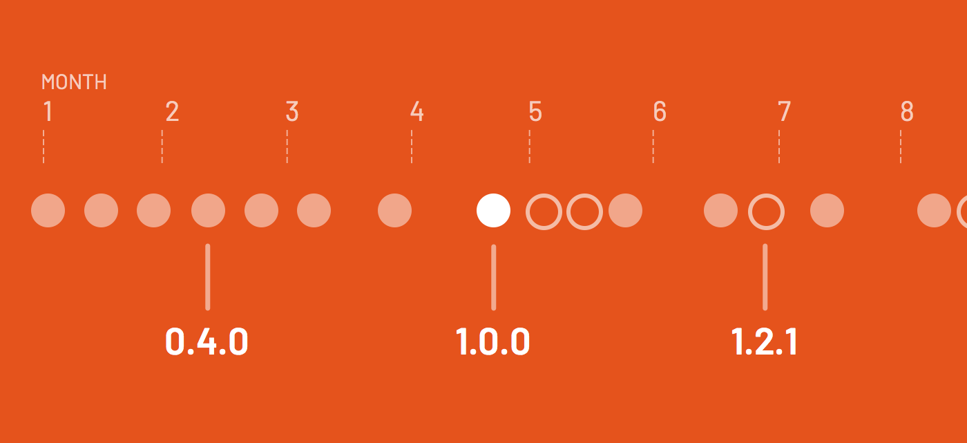 Partner: Version & Feature